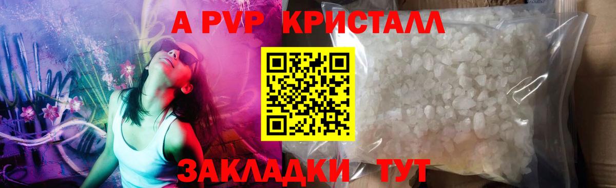 Альфа ПВП СК Королёв