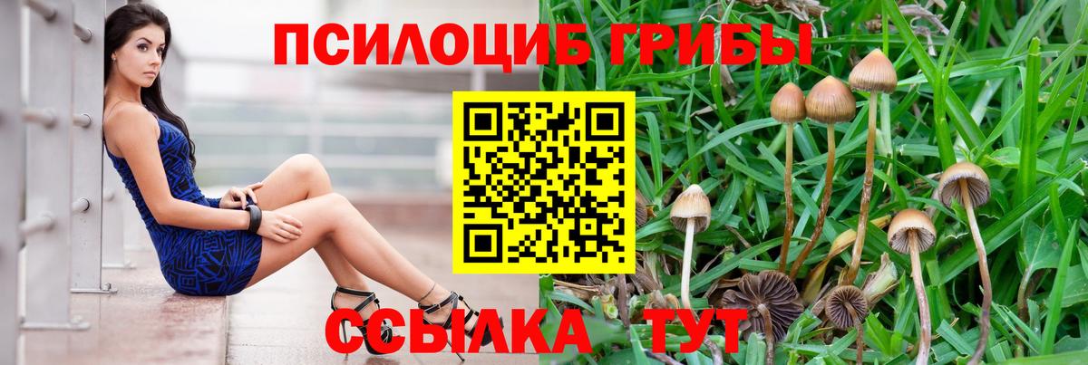 Королёв  Галлюциногенные грибы Magic Shrooms  хочу   Псилоцибиновые грибы ЛСД  Вход с VPN 